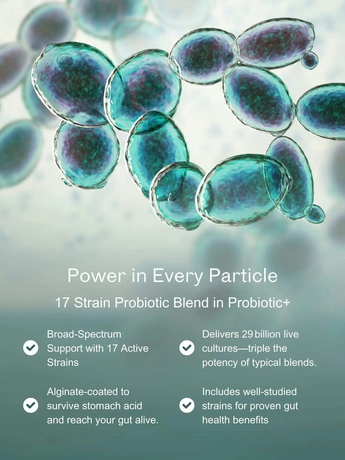 Puraz Probiotic+