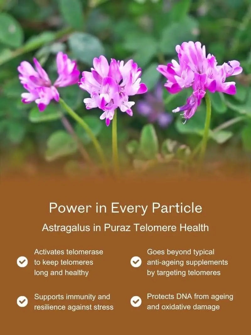 Telomere Health