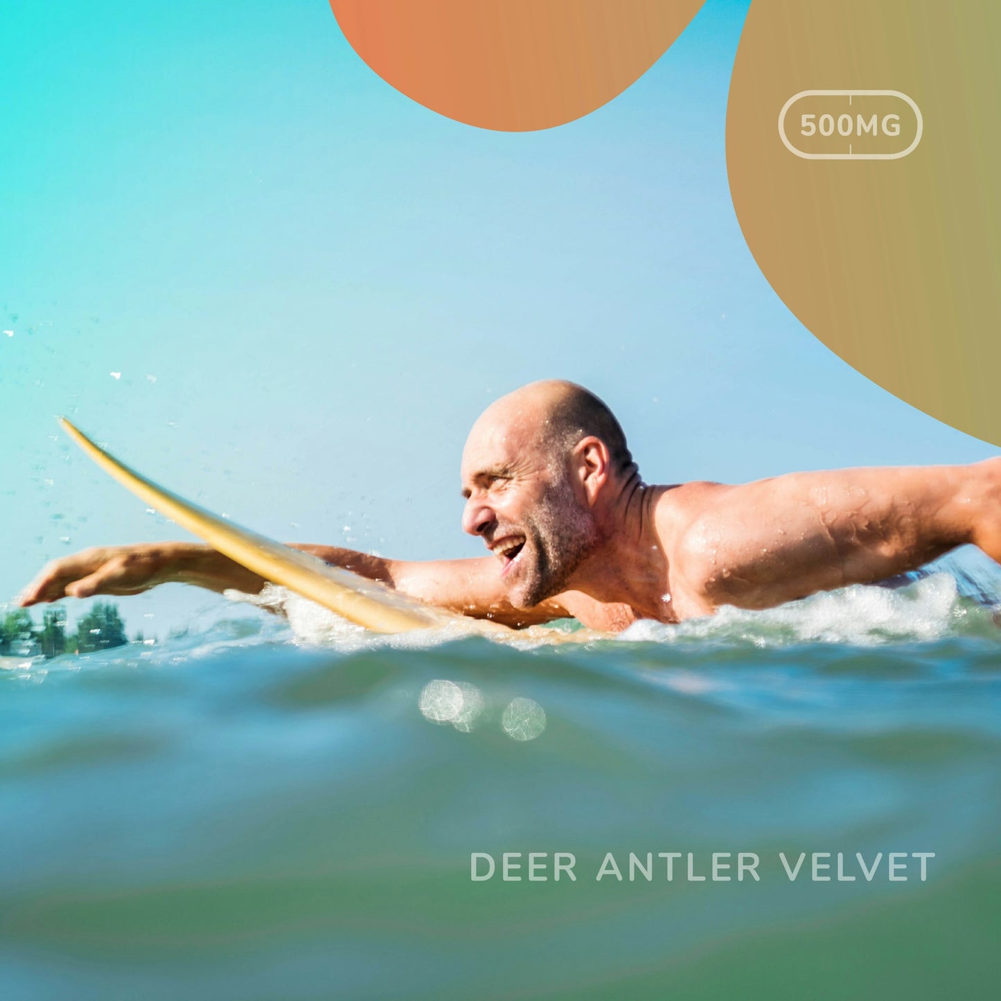 Deer Antler Velvet 500mg Capsules