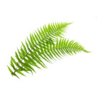 Health Marketplace NZ