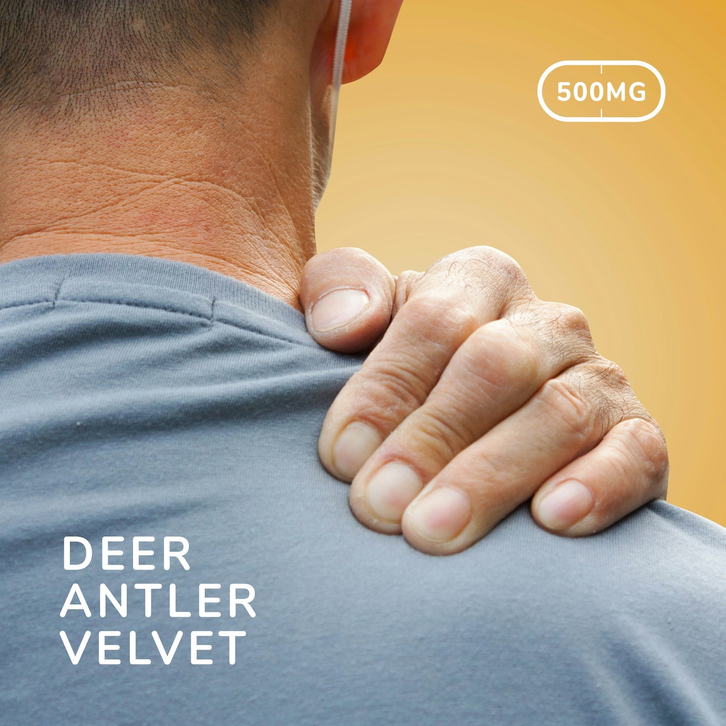 Deer Antler Velvet 500mg Capsules