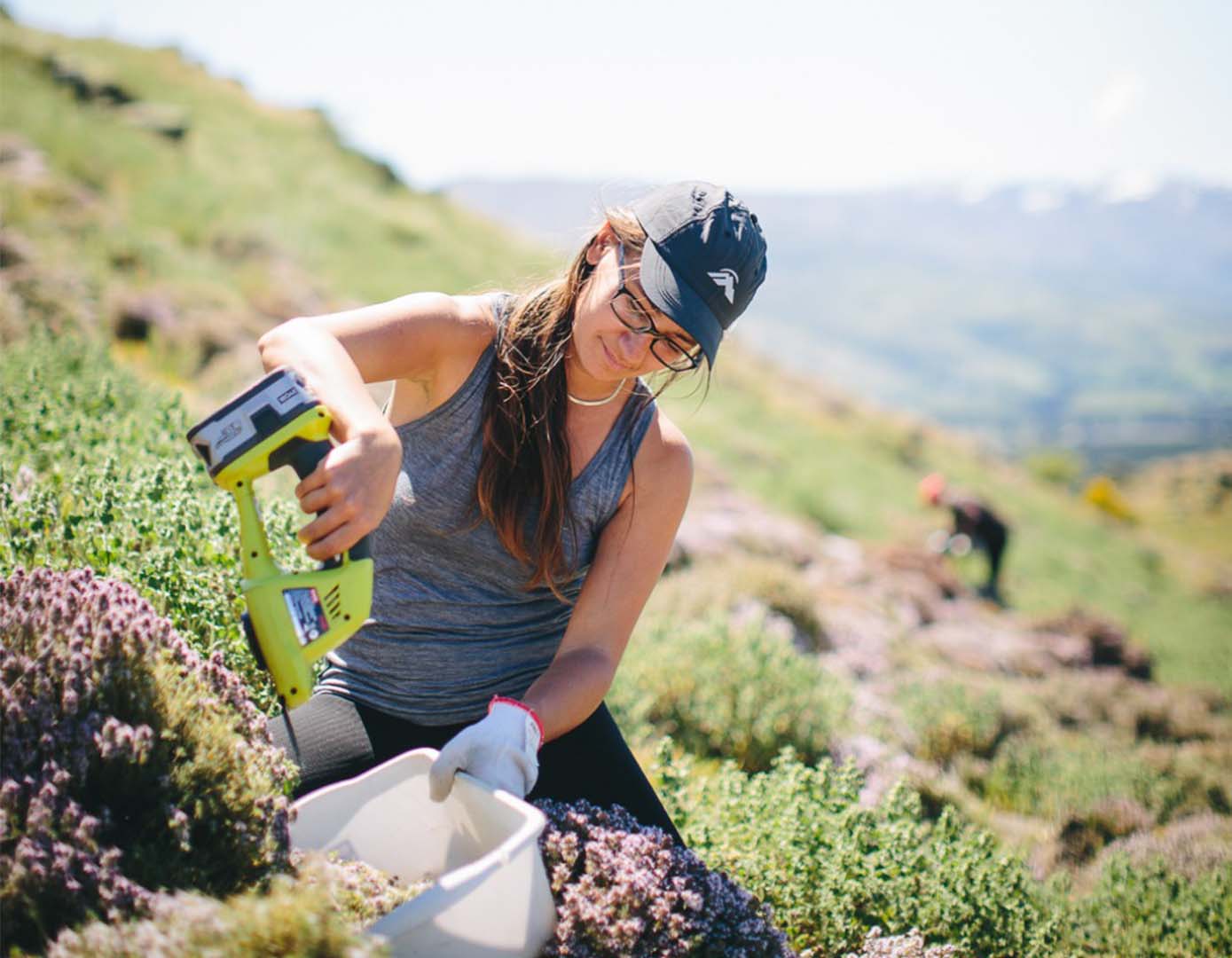 Health Marketplace NZ