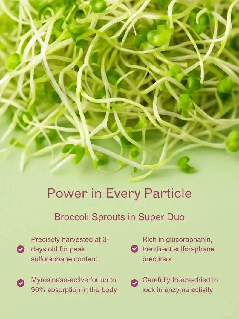 Super Duo
