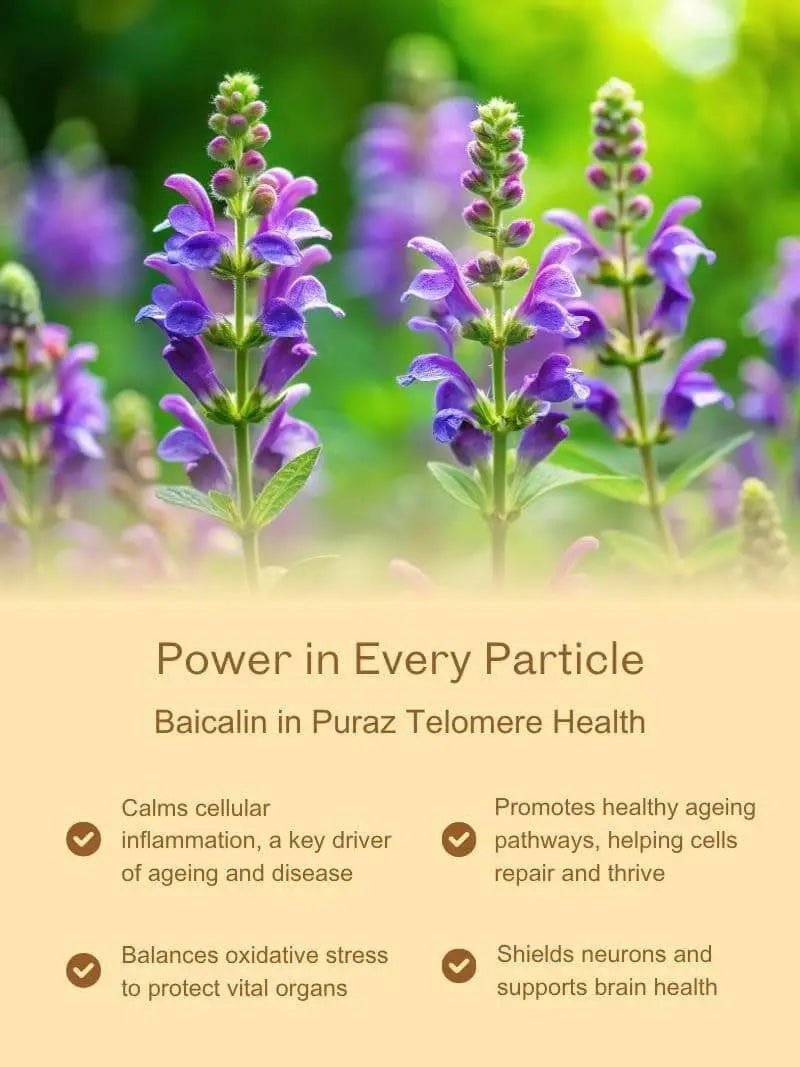 Telomere Health