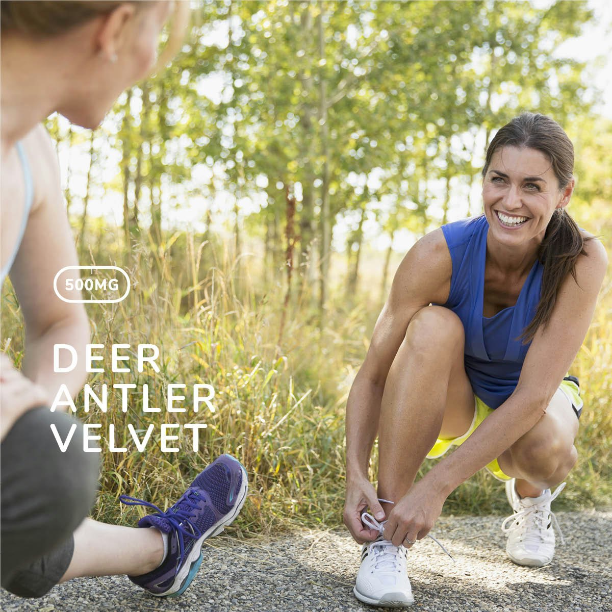 Deer Antler Velvet 500mg Capsules