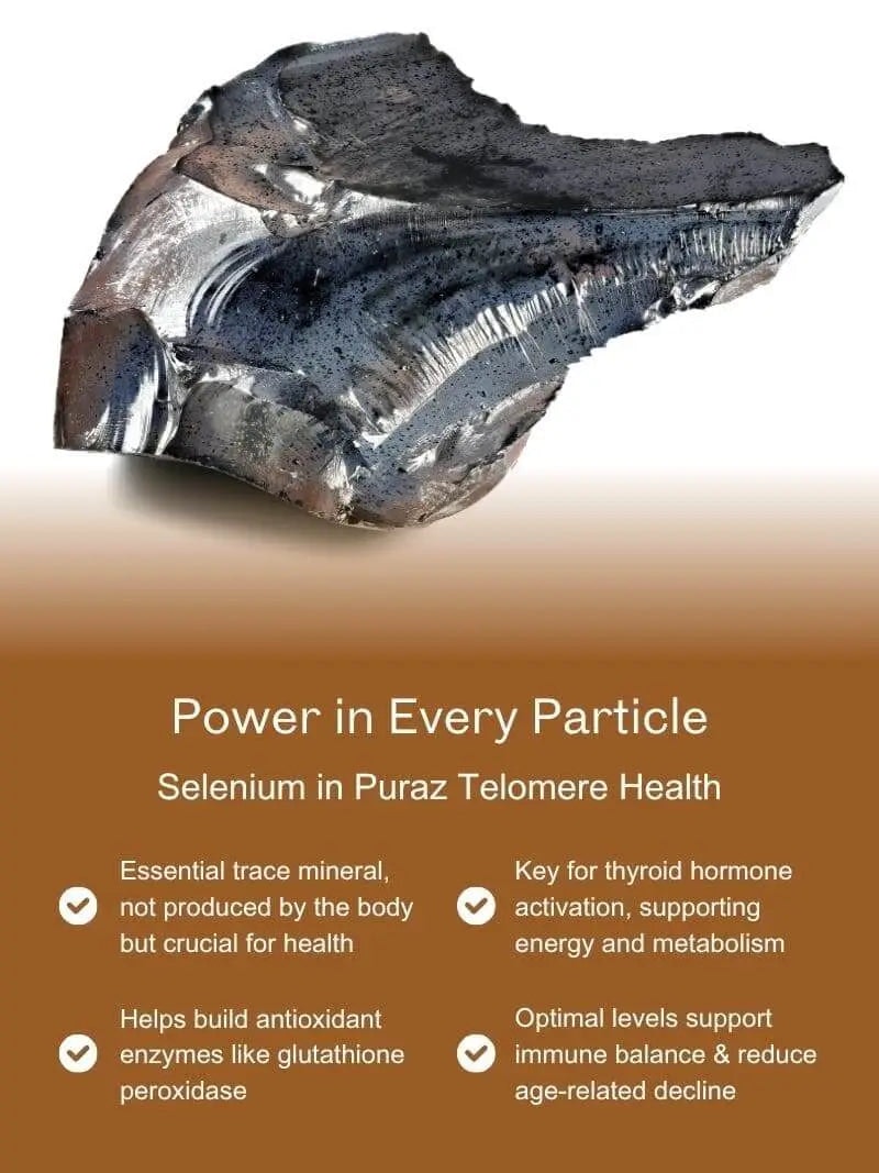 Telomere Health