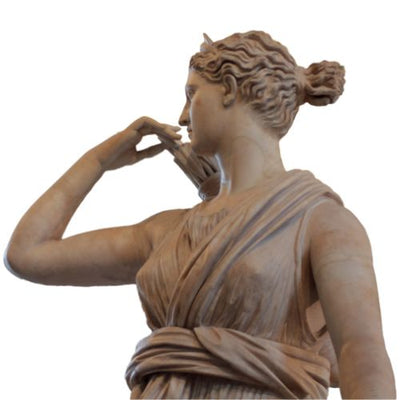 Health Marketplace NZ