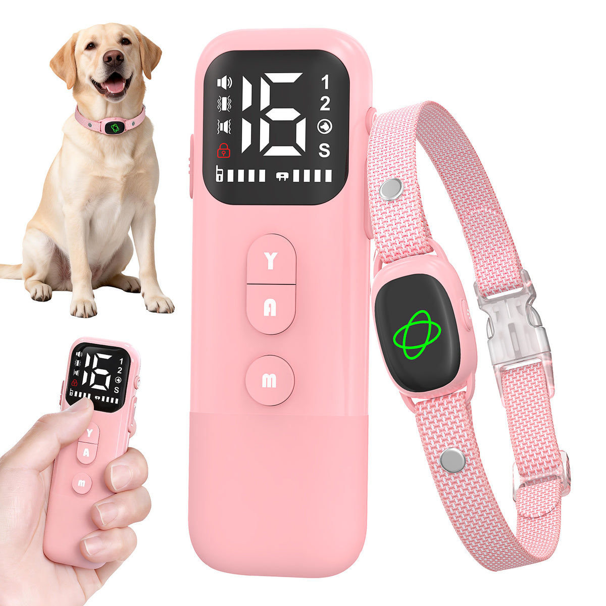 2-in-1 Dog Training & Bark Control Collar – 800m Remote