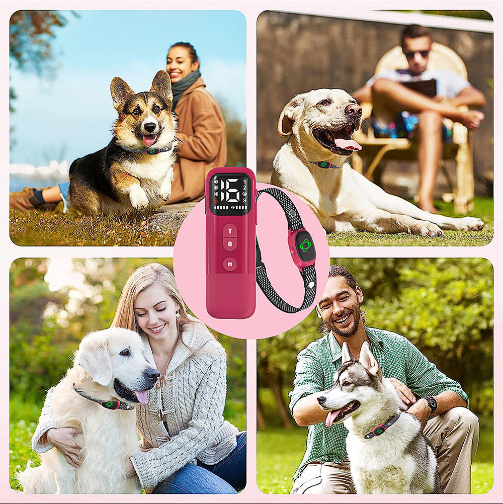 2-in-1 Dog Training & Bark Control Collar – 800m Remote