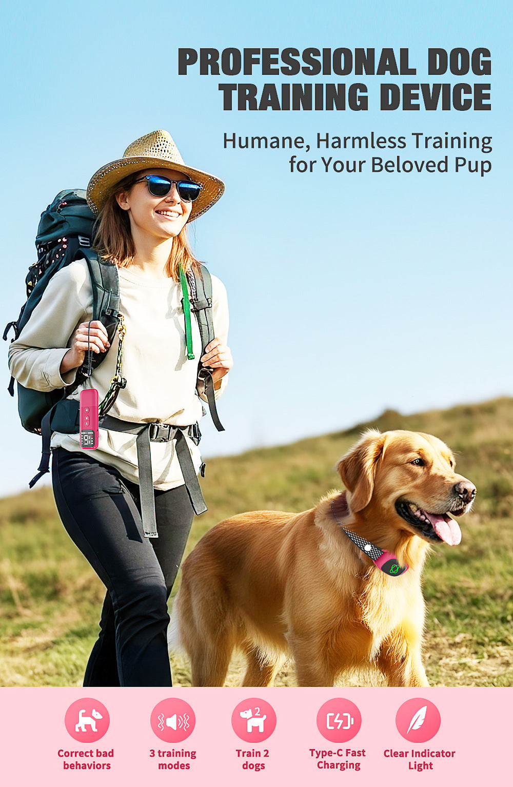 2-in-1 Dog Training & Bark Control Collar – 800m Remote