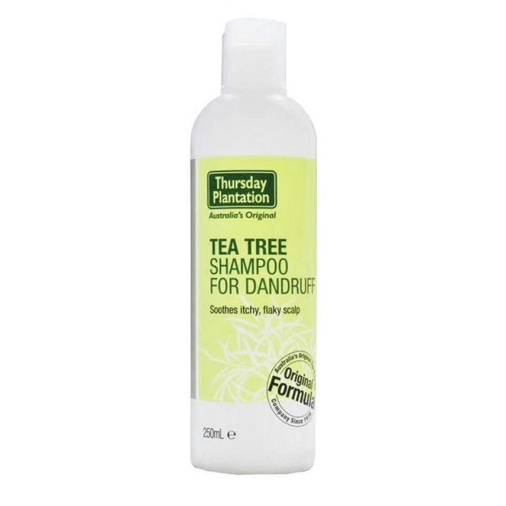 Tea Tree Shampoo for Dandruff