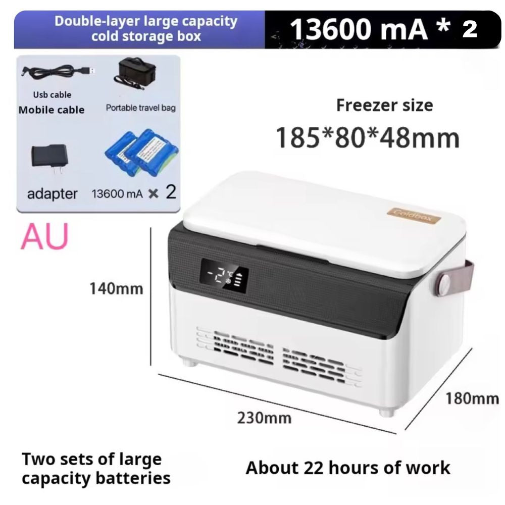 Portable Insulin Cooler Box with Temperature Control