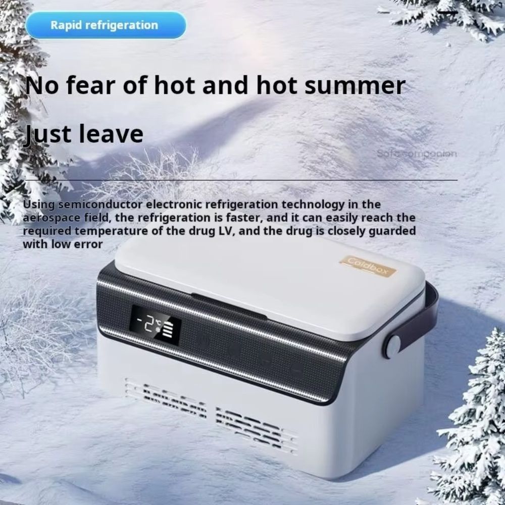 Portable Insulin Cooler Box with Temperature Control