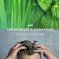 Colloidal Silver Shampoo 250ml