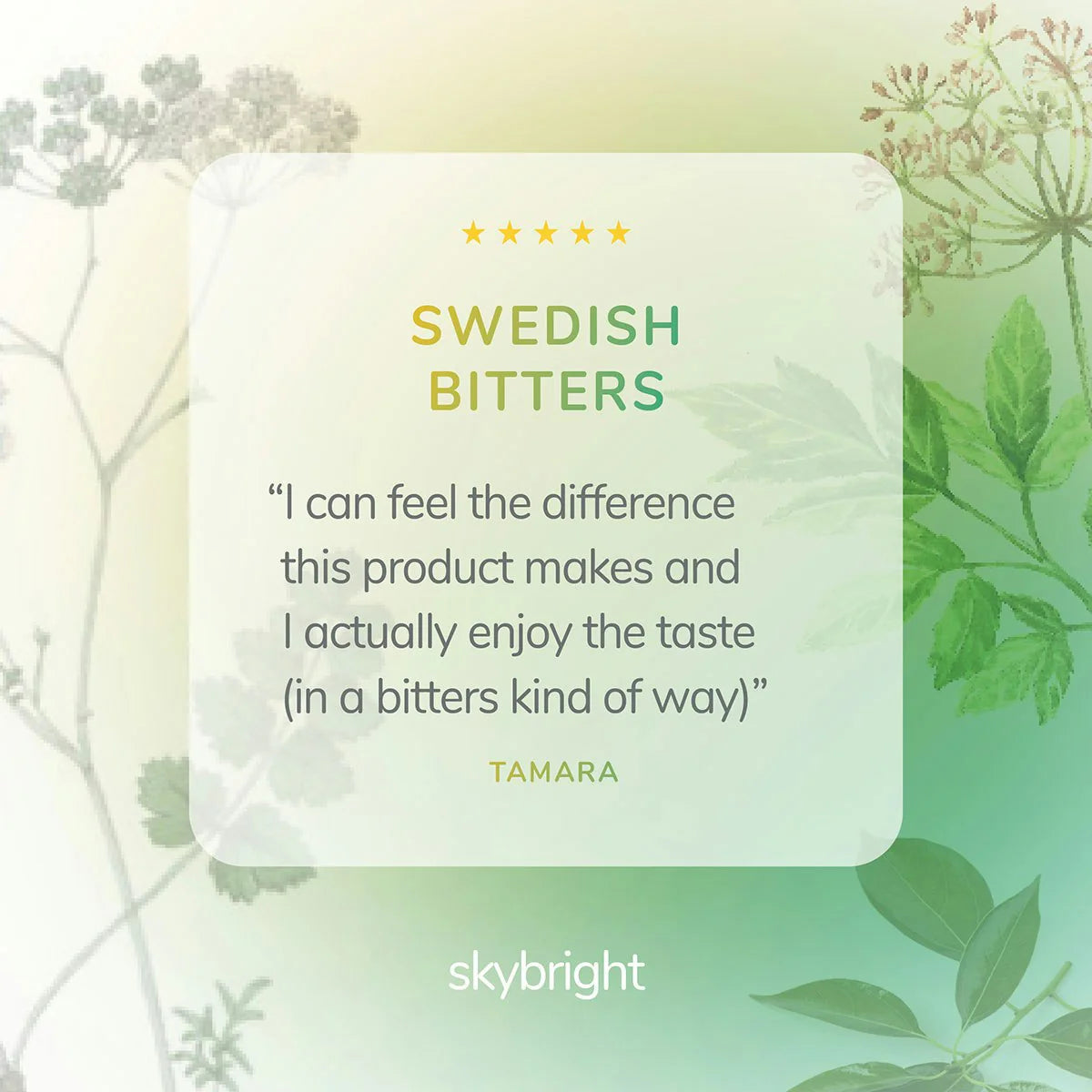 Skybright Swedish Bitters Digestive Tonic 200ml - Premium Herbal Formula for Liver Support 