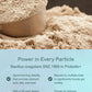Puraz Probiotic+