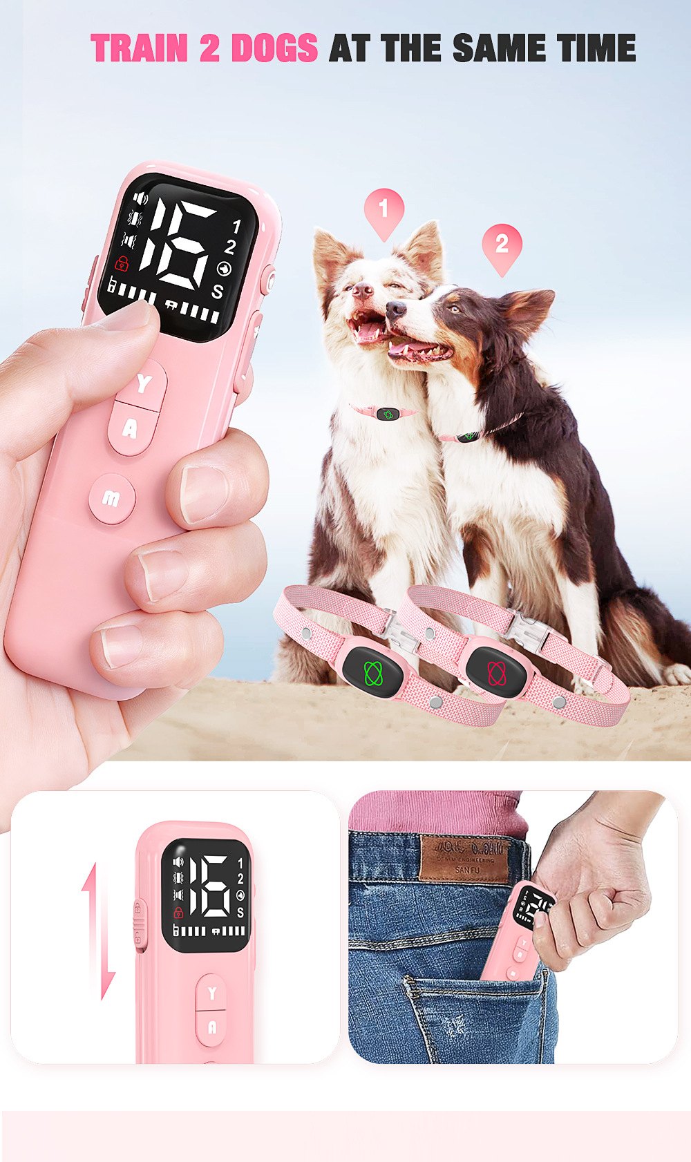 2-in-1 Dog Training & Bark Control Collar – 800m Remote