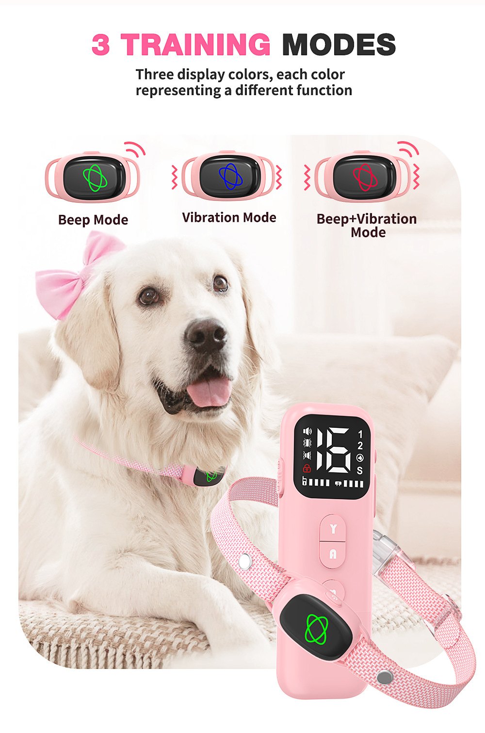 2-in-1 Dog Training & Bark Control Collar – 800m Remote