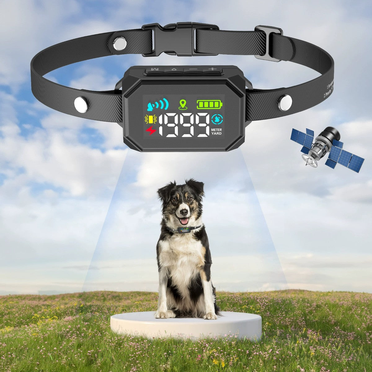 Dog wearing a GPS wireless fence collar in an open field with a satellite overhead