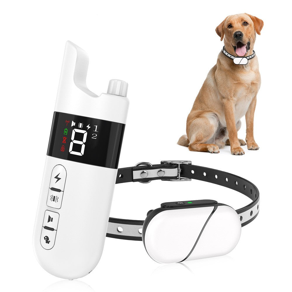 Rechargeable dog training collar with white remote transmitter and receiver collar beside a seated dog