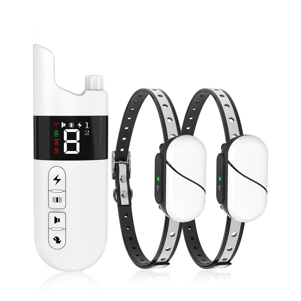 White remote transmitter with two receiver collars for training two dogs