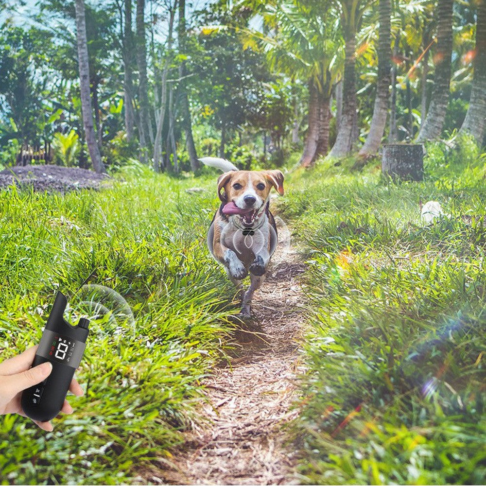 Dog running along a grassy trail towards an owner holding the training collar remote