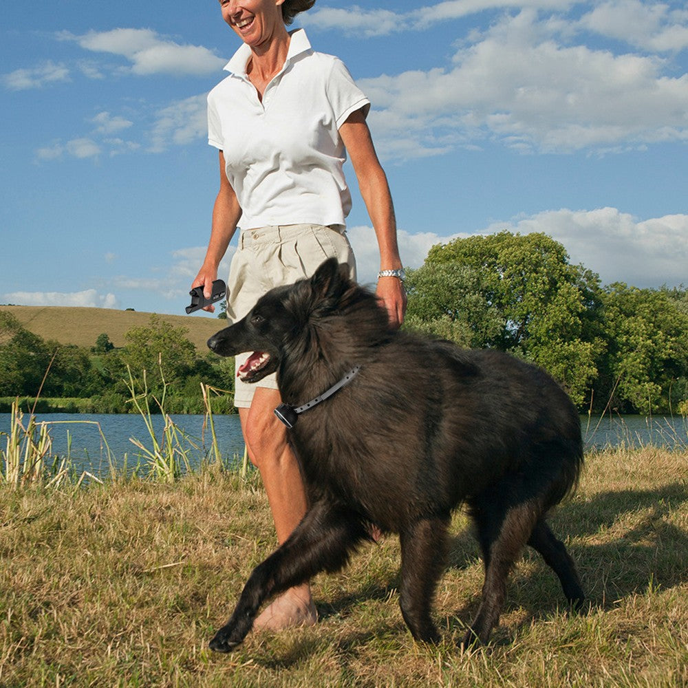 Woman walking a black dog wearing a training collar beside a lake