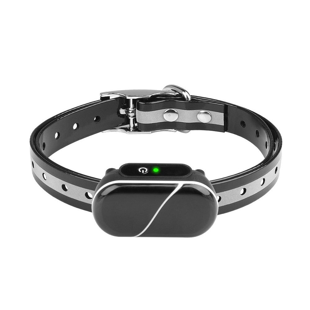 Training collar receiver on an adjustable black and grey strap with metal buckle